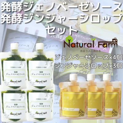 ふるさと納税 枕崎市 発酵ジェノベーゼソース×発酵ジンジャーシロップ(計7個セット)C0-71