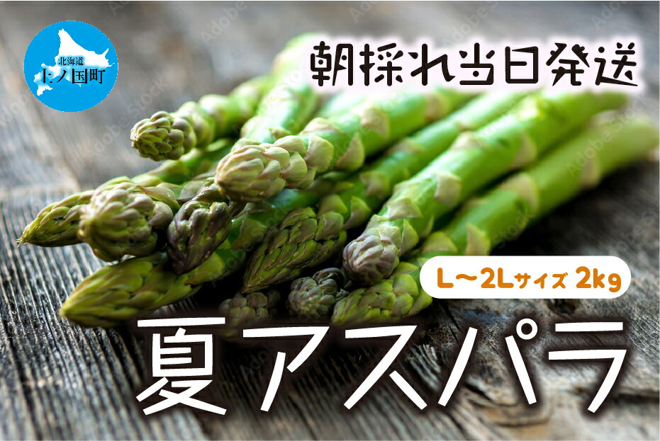 【ふるさと納税】【2025年夏発送】北海道上ノ国町産 わかさ農園の朝採れ夏アスパラ　L～2L（2kg）　アスパラガス　グリーンアスパラ　北海道　朝採り　産地直送　野菜　送料無料　旬の野菜　みずみずしい　おいしい