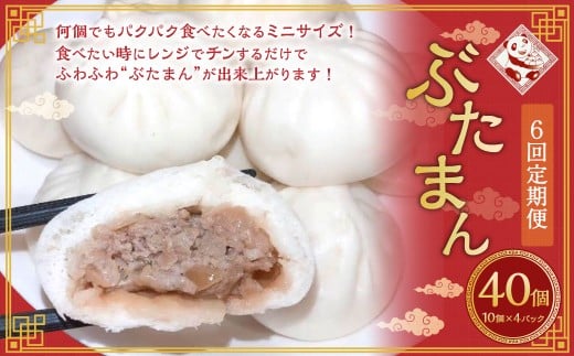 【全6回定期便】長崎ぶたまん 40個 (40個×6回) 合計240個 ／ ミニサイズ ぶたまん 豚まん ブタまん 中華まん 肉まん 国産豚 おやつ 朝食 軽食 レンジ 冷凍 定期便 長崎