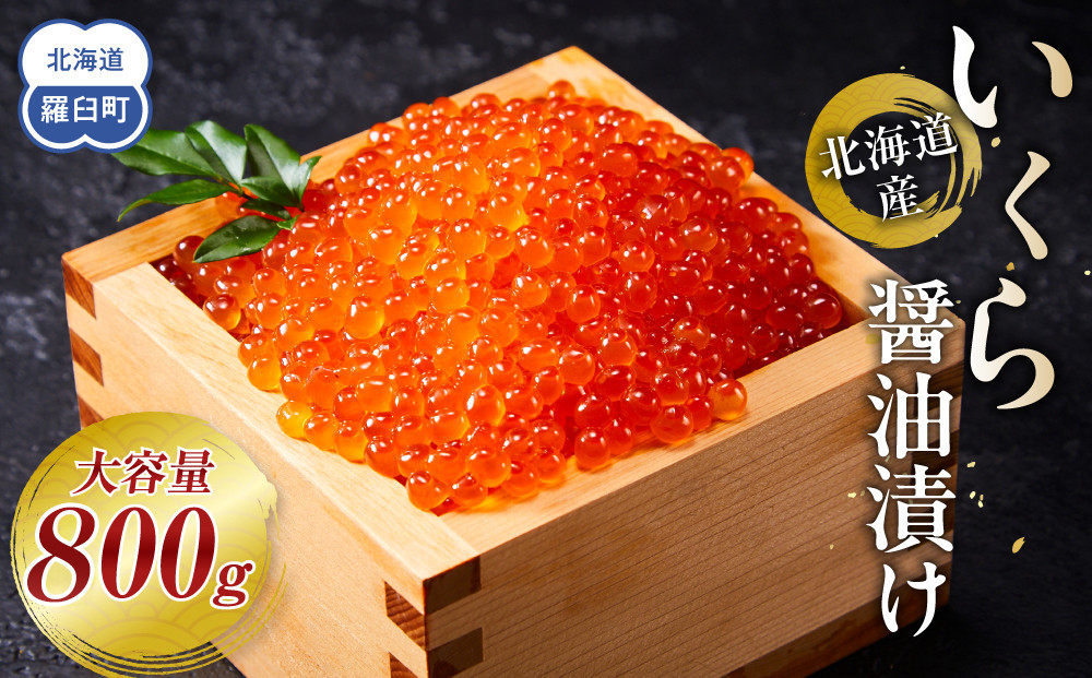 北海道産 いくら（鮭卵）醤油漬け 800g(200g×4パック)  個魚介類 北海道 海産物 魚介 小分けパック 生産者 支援 応援 016942_AP020