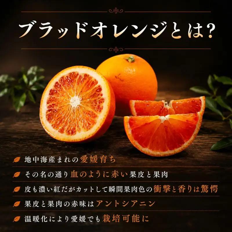【2027年3月中旬頃から順次発送】  ブラッドオレンジ 3kg ｜愛媛 タロッコ 果物 ビタミン 健康 フルーツ 柑橘 農家直送 産地直送 数量限定  松山  くだもの 果実 有名 みかん 愛媛県産