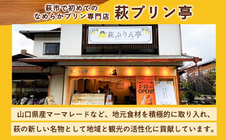 定期便 6ヶ月 プリン セット 食べ比べ 6個入 萩ぷりん亭 定番セット デザート お菓子 6回 お楽しみ ※配送不可：離島
