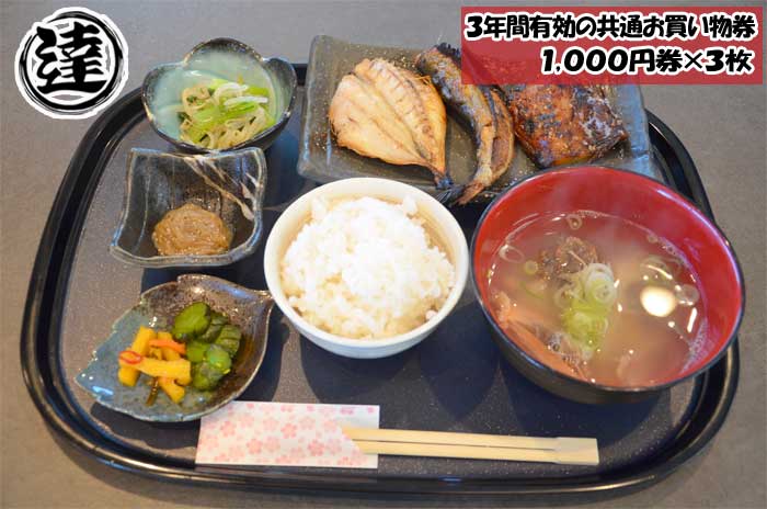 【ふるさと納税】伊豆・伊東 丸達水産で使える3年間有効の共通お買い物券(1,000円券×3枚)