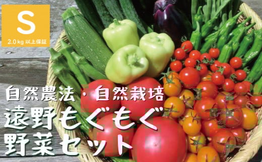 自然農法 遠野 もぐもぐ 夏野菜セット Sサイズ 約7～10種類 【 2.0kg 以上保証】 栽培期間中 農薬不使用 農家 朝採り 直送 遠野もぐもぐカントリー 【先行予約：2025年8月初旬より順次発送予定】