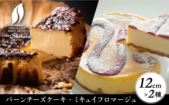 
            ＼名店の味を食べ比べ／ チーズケーキ 2種セット スイーツ ケーキ ギフト 多治見市 / シェ・シバタ [TDH001]
          