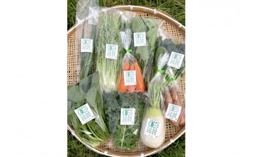 朝採り新鮮！有機野菜セット詰合せ（7～9種類）3回コース【定期便】 定期便 採れたて 産地直送 葉物 有機JAS認証 野菜セット 旬の野菜 ふるさと納税 野菜【139_1908】