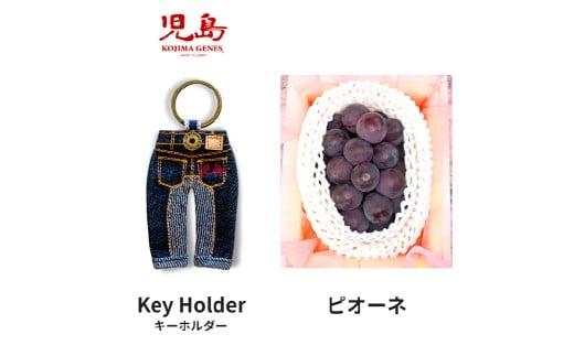 【年2回定期便】 家庭用 ピオーネ 2房（1房約530g以上）＋ KOJIMA GENES キーホルダー フルーツ 果物 ブドウ ぶどう 葡萄 国産 ギフト 贈答 【2026年6月上旬～9月下旬まで発送予定】