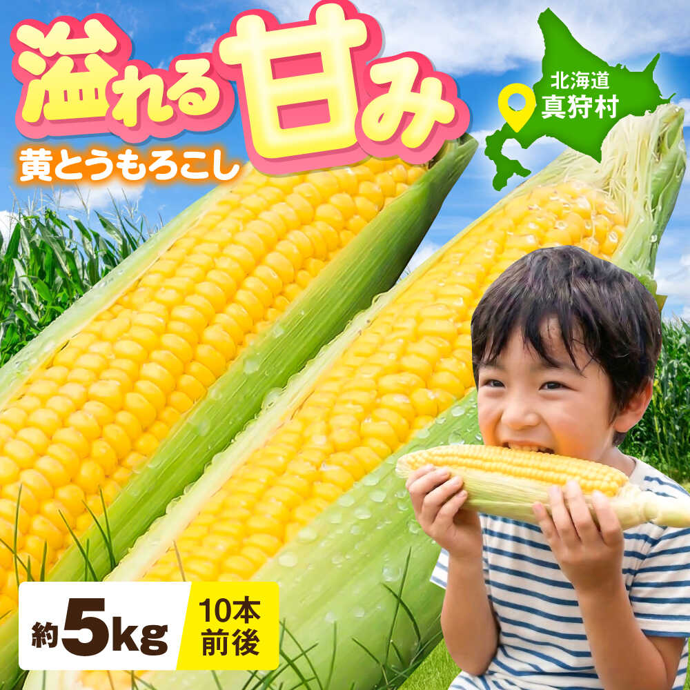 【ふるさと納税】【2026年8月下旬以降順次発送】 とうもろこし（黄）5kg | とうもろこし とうきび トウモロコシ コーン 野菜 やさい 北海道 産地直送 先行予約 | 道の駅 真狩フラワーセンター[BPAM020]