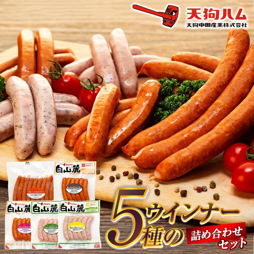 【ふるさと納税】【天狗ハム】5種のウインナー詰め合わせセット | ウィンナー バーベキュー お弁当 焼肉 BBQ キャンプ 家庭用 天狗 天狗ハム 金沢
