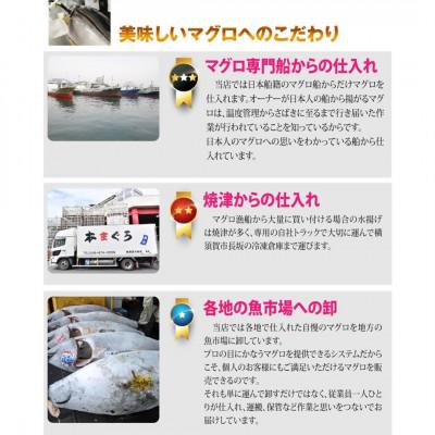 ふるさと納税 横須賀市 天然 びんちょうまぐろ ぶっこみブロック　約3kg 冷凍 |  | 02