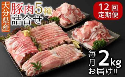 【12ヶ月定期便：2027年4月配送開始】小分けで便利♪大分県産 豚5種詰め合わせ（約2kg×12回）
