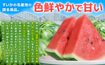 【先行予約】大玉すいか 1玉約5kg 日本フルーツ株式会社《5月上旬-６月下旬頃出荷》熊本県 菊池市 すいか スイカ 大玉 熊本県産