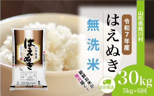 ＜令和7年産米＞ 令和7年12月中旬より配送開始 はえぬき【無洗米】30kg定期便 (5kg×6回)　鮭川村