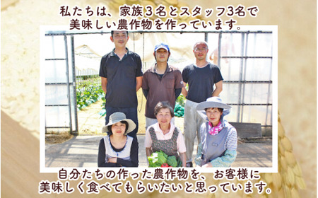 【令和6年度産新米】〈3回定期便〉特別栽培米コシヒカリ 精米 5kg(5kg×1袋) 渡辺農園