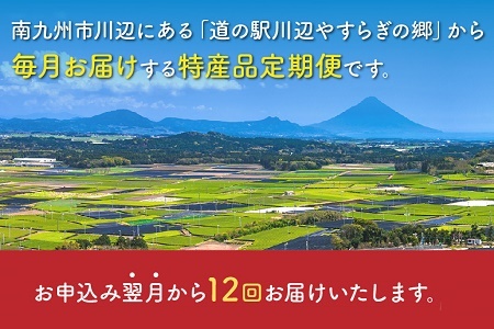 【全12回】毎月『旬』が届く!道の駅川辺やすらぎの郷 月替わりお楽しみ特産品定期便 013-22