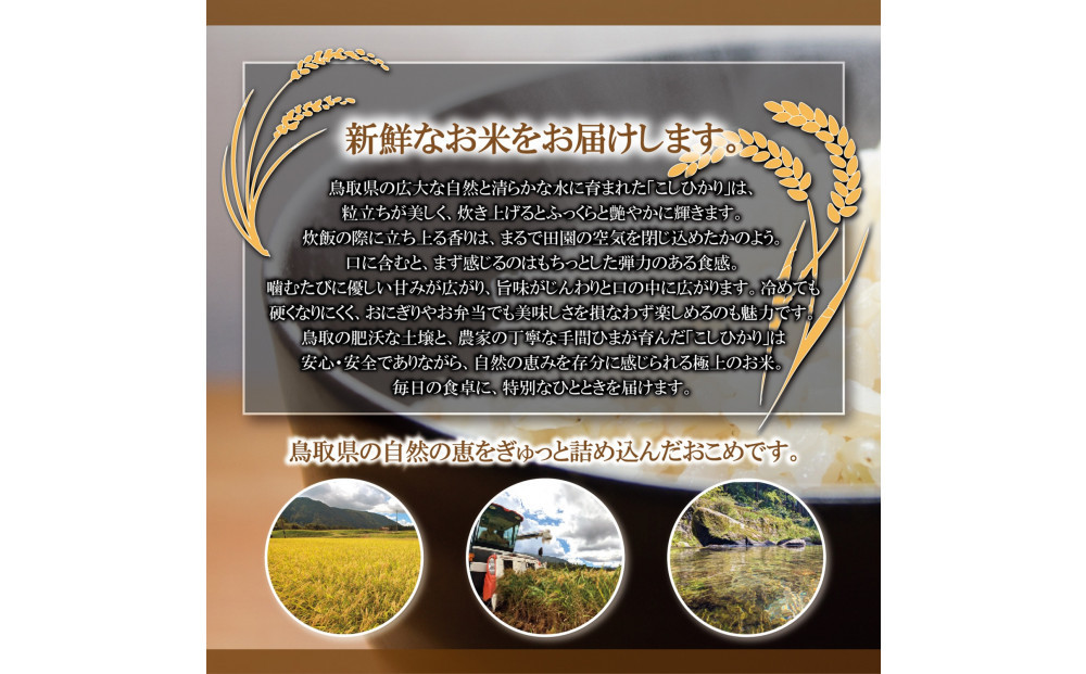 令和7年産　山崎農園こしひかり玄米10kg