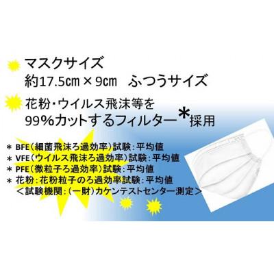 ふるさと納税 柏崎市 ブルボン 不織布マスク100枚(50枚/箱×2箱)[ZB359] |  | 01