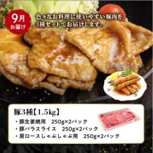 【全4回】鹿児島県産 カミチク豚 定期便 076-16