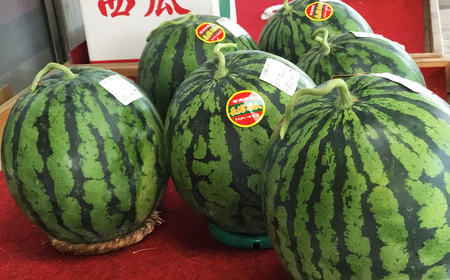 【地元民が愛する幻のすいか】長浦すいか（M玉以上 ／ 5-6kg） 【2026年6月上旬～6月下旬迄発送予定】 ／ 長浦スイカ すいか スイカ 西瓜 果物 フルーツ 季節の果物 長崎県産 長崎市産 長