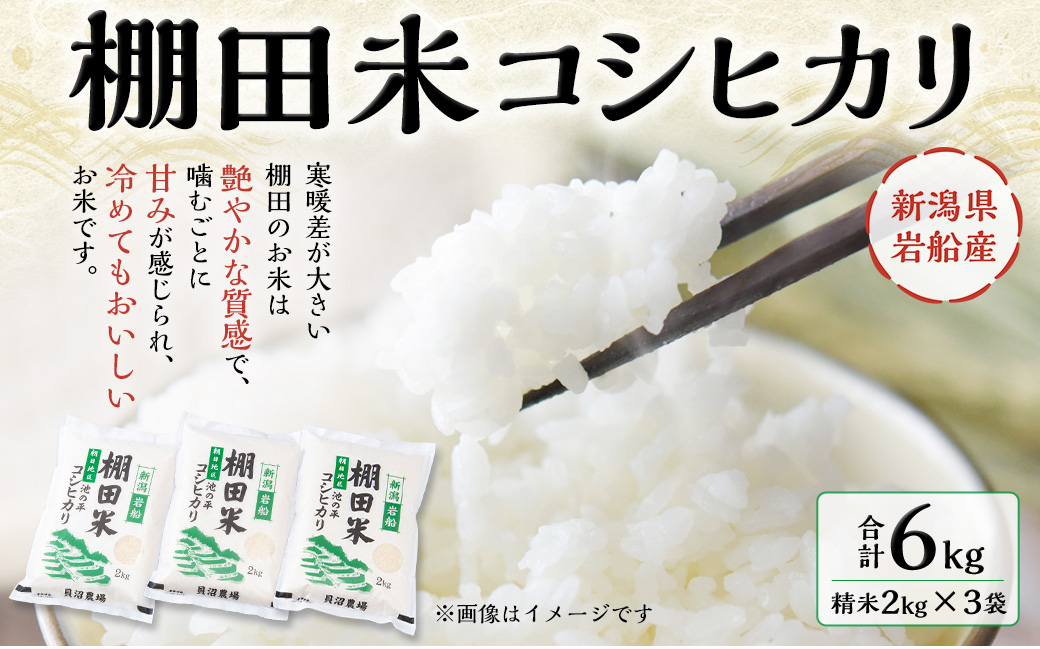 【令和7年産米】新潟県村上市岩船産 棚田米 コシヒカリ 6kg A4184 