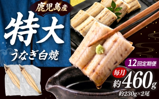 全12回定期便 鹿児島産 うなぎ 白焼2尾セット▼国産 鰻 ウナギ 白焼き 特大 本格 うなぎ 鰻 ウナギ うなぎ 肉厚 うなぎ ウナギ 鰻 冷凍 特大 希少 鰻 うなぎ ウナギ 鰻 人気 ウナギ うなぎ おすすめ ランキング うなぎ おいしい unagi うなぎ うなぎ 高級 特別 贅沢 うなぎ ウナギ 鰻 うなぎ ウナギ 夏 鰻 Eel 九州 福岡 [ADAH017]