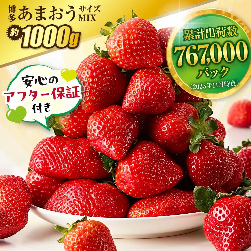 【先行予約】【アフター保証】 「博多あまおう」約250g×4パック【2月上旬～3月発送】【JAほたるの里】_AS0433-00 いちご あまおう