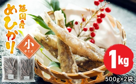 延岡産めひかり無頭小サイズ500g×2袋 N0184-YA2268