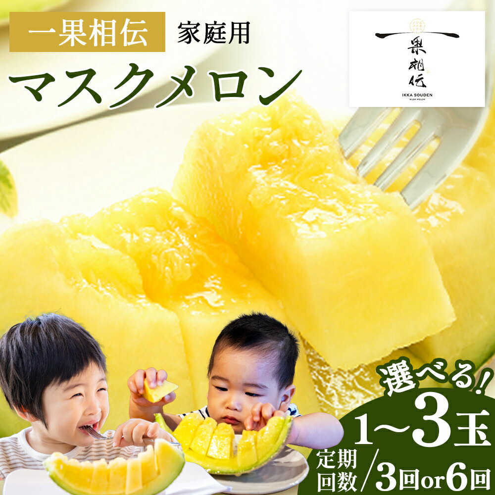 【ふるさと納税】一果相伝 マスクメロン 家庭用 1玉／2玉／3玉 - 選べる 定期便 果物 フルーツ めろん 青肉 ギフト 自宅用 ジューシー 果汁 至福 美味しい ソーダ シロップに 甘い ケーキに あまい 篤農 産地直送 高知県 香南市【常温】