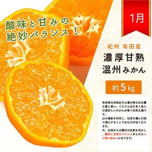 【発送月固定定期便】紀州和歌山産旬の柑橘セット(みかん・不知火・清見)全3回【4011934】