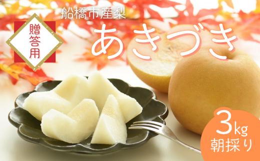 【2025年産先行予約】＜贈答用＞果汁たっぷりの極上梨「あきづき・3kg」6～9玉 千葉県 船橋市産