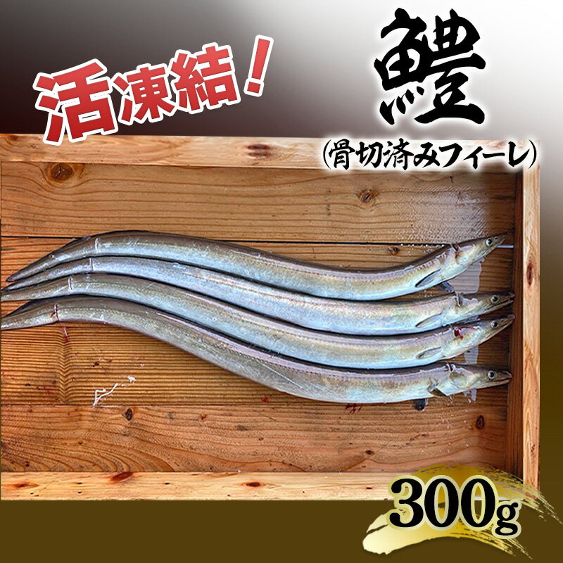 【ふるさと納税】活凍結シリーズ　活凍結 鱧 300g はも ハモ 魚介 海鮮 骨切り フィーレ 急速凍結 鮮度保持 真空パック 便利 ギフト 贈答用 兵庫県 洲本市 淡路島