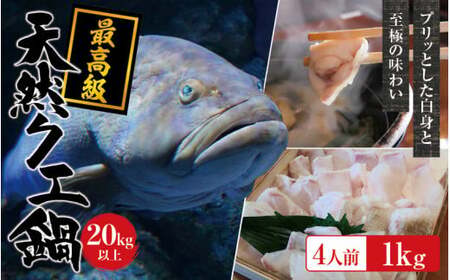 【冷凍】天然 最高級クエ 20kg 以上  クエ鍋セット 4人前(250g×4) 【2025年11月下旬から2026年2月下旬までに順次発送致します。】 / 高級 海鮮 お魚 魚  くえ鍋 クエ鍋 くえ くえ天然 冷凍 海産物【tkw012-2】