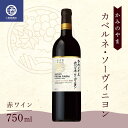 【ふるさと納税】 かみのやま カベルネ・ソーヴィニヨン 赤ワイン サントリー 750ml F2Y-3817