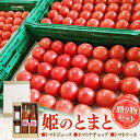 【ふるさと納税】姫のとまと贈り物セット (トマトジュース・トマトケチャップ・トマトソース) 多治見市 / 岩原農園[TFP002]