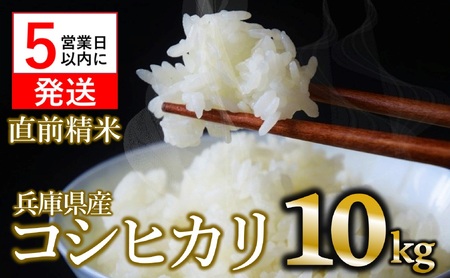 【新米先行予約】コシヒカリ 10kg 白米 令和７年産 (34-13)