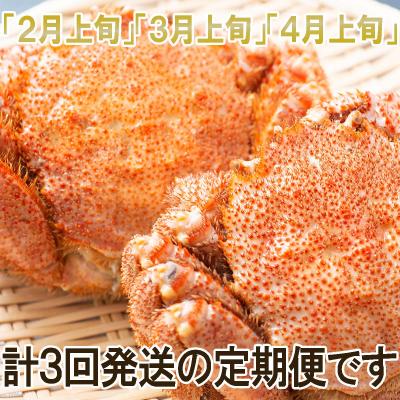 ふるさと納税 新ひだか町 <2026年2月上旬から順次発送>【定期便全3回】北海道産浜ゆで毛ガニ 3尾×3回 <先行受付> |  | 01
