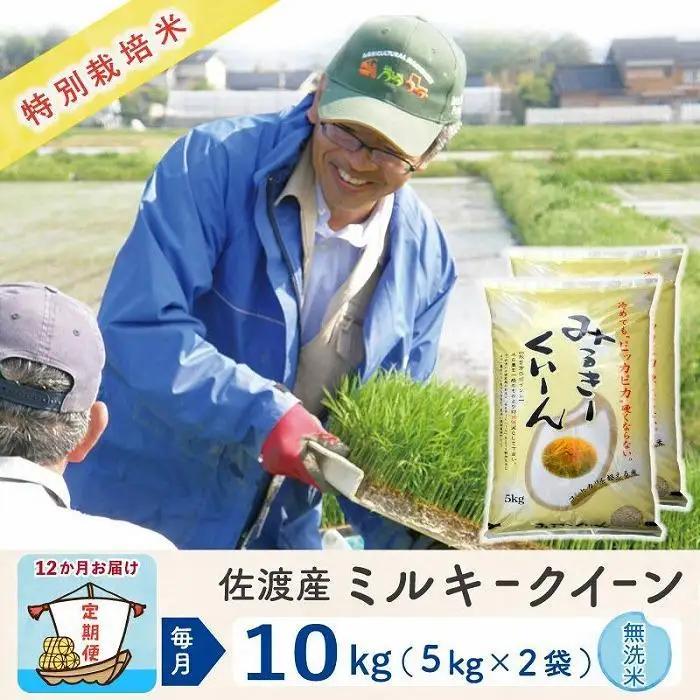【定期便 新米 10kg 12回】 無洗米 令和8年 計 120キロ | 新潟県 佐渡市 ミルキークイーン