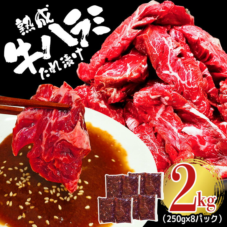 【ふるさと納税】熟成 牛 ハラミ 2kg （ 250g × 8個 ） 味付け 味付け肉 小分け 冷凍 焼肉 焼き肉 牛 牛肉 ビーフ お取り寄せ そうざい男しゃく 茨城県 常陸大宮 送料無料 【そうざい男しゃく（株式会社池延）】 【ho1469】