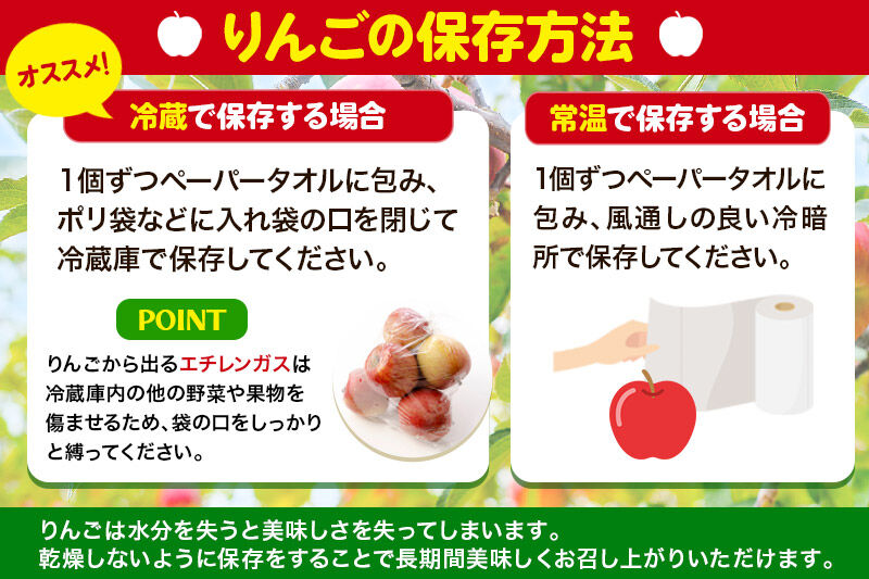 【12月上旬から12月中旬に発送】【贈答規格】葉とらず サンふじりんご 5kg（約11～18個） 蜜入り 永井農園 [りんご リンゴ 林檎 サンふじ 5kg 蜜入り 葉とらず]