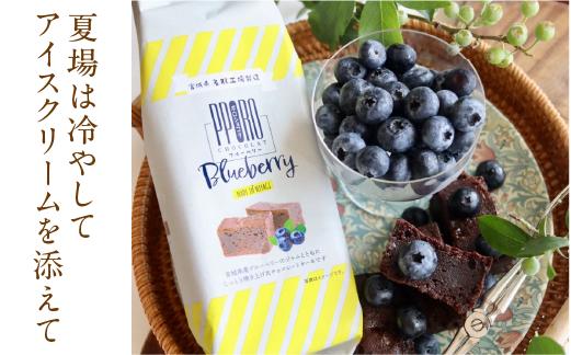 ポロショコラ・ブルーベリー１本