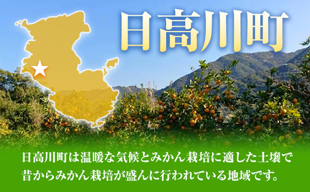 和歌山県産 みかん 約5kg(Sサイズ)冬木農園 《2024年12月上旬‐1月中旬頃出荷予定》 ｜みかんみかんみかんみかんみかんみかんみかんみかんみかんみかんみかんみかんみかんみかんみかんみかんみかん