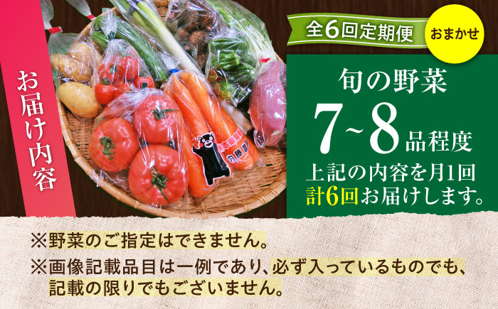【全6回定期便】【数量限定】旬の 野菜 セット (約3kg/野菜7-8品程度) / 野菜 新鮮 旬 詰合せ セット 熊本県 菊陽町 特産品 【有限会社さんふれあ】 [BHAK025]