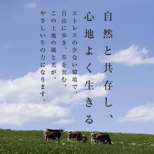 【十勝オーガニック放牧牛(グラスフェッドビーフ)すき焼き・しゃぶしゃぶセット】(1.2kg) 薄切り スライス 鍋 お肉 トカプチ農場 F21P-1141