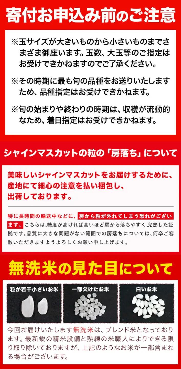 【全3回】晴れの国定期便 無洗米5kg 桃1kg マスカット600g 定期便