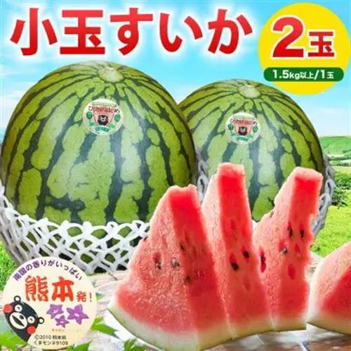 小玉すいか 2玉入り 3Lサイズ 約3kg以上(益城町)【1684316】