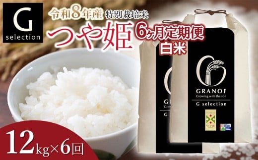 【令和8年産先行予約】【定期便6ヶ月】 特別栽培米 Gセレクション つや姫【白米】12kg (6kg×2袋)×6ヶ月 山形県鶴岡市産　株式会社グラノフ