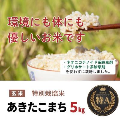 ふるさと納税 大仙市 令和6年産「特別栽培米あきたこまち」玄米5kg おこめのさわた 秋田県産