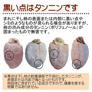 贈答用 年明け発送 【南信州産】 市田柿 大粒厳選化粧箱 8粒入り （約340ｇ）