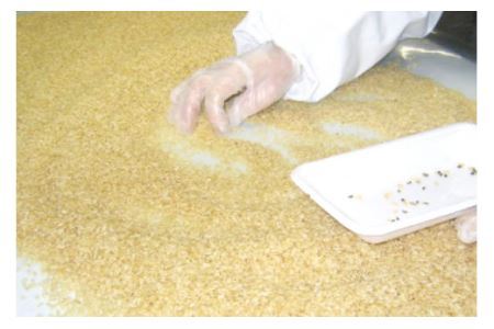 [発芽玄米] 宮城県産ひとめぼれ発芽玄米1kg×12回定期便 菅原商店