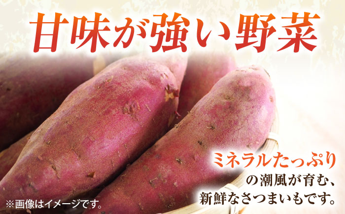 【先行予約】さつまいも　紅はるか　約5kg（10月～12月）【鈴也ファーム】 [AKCE025]